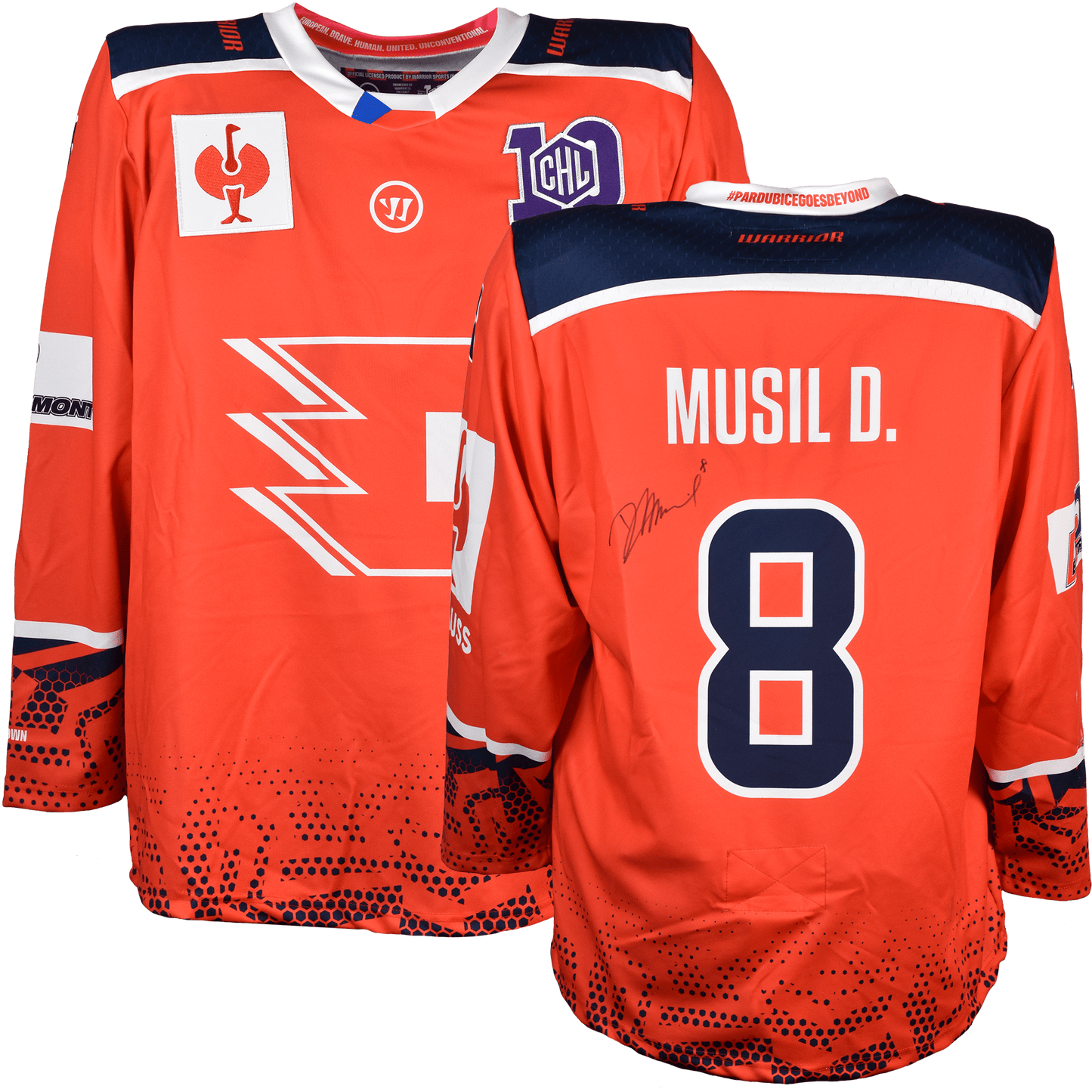 Dynamo Pardubice Musil D. 8